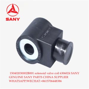 150402030002B001 genuine SANY crane solenoid valve coil 6306024 from Chinese factory wholesale