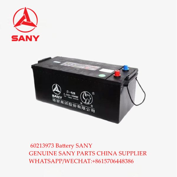 SANY crane orignal parts 60213973 Battery for SANY truck crane STC250